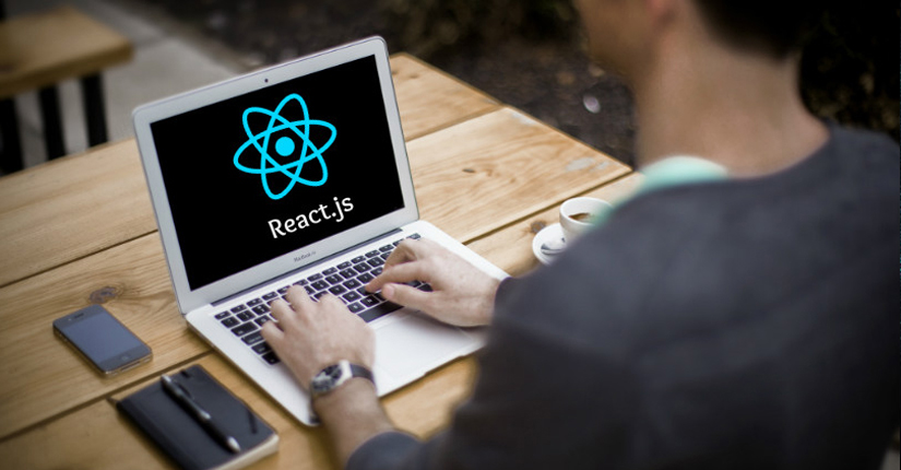 ReactJS Development