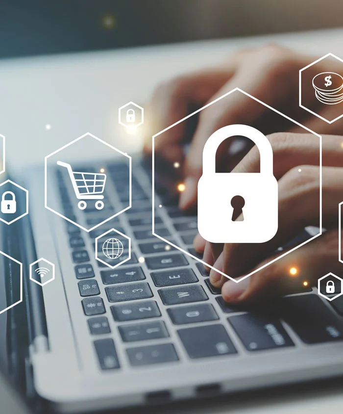 eCommerce-Optimisation-&-Security